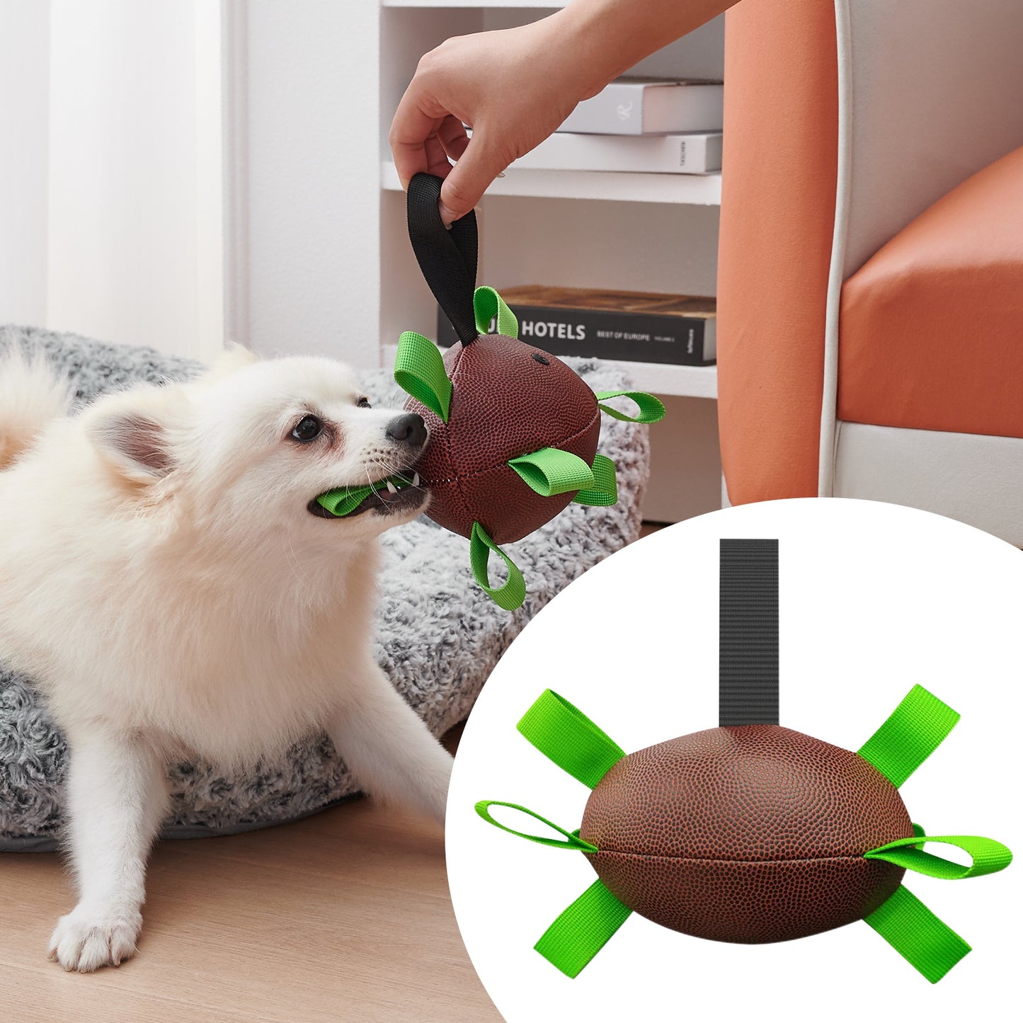 Dog Rugby Football With Straps, Interactive Dog Toy